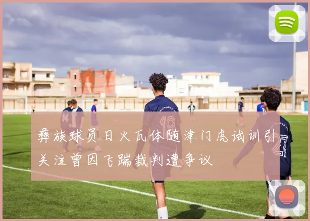彝族球员日火瓦体随津门虎试训引关注曾因飞踹裁判遭争议