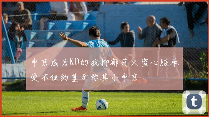 申京成为KD的抗抑郁药火蜜心脏承受不住约基奇称其小申京